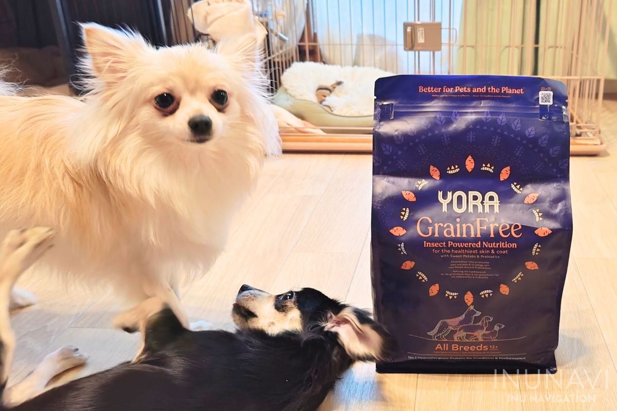 ヨラドッグフード YORA　と愛犬